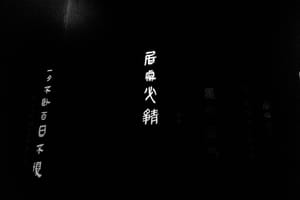 一夕不卧百日不复