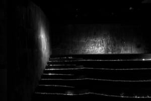 2006011728